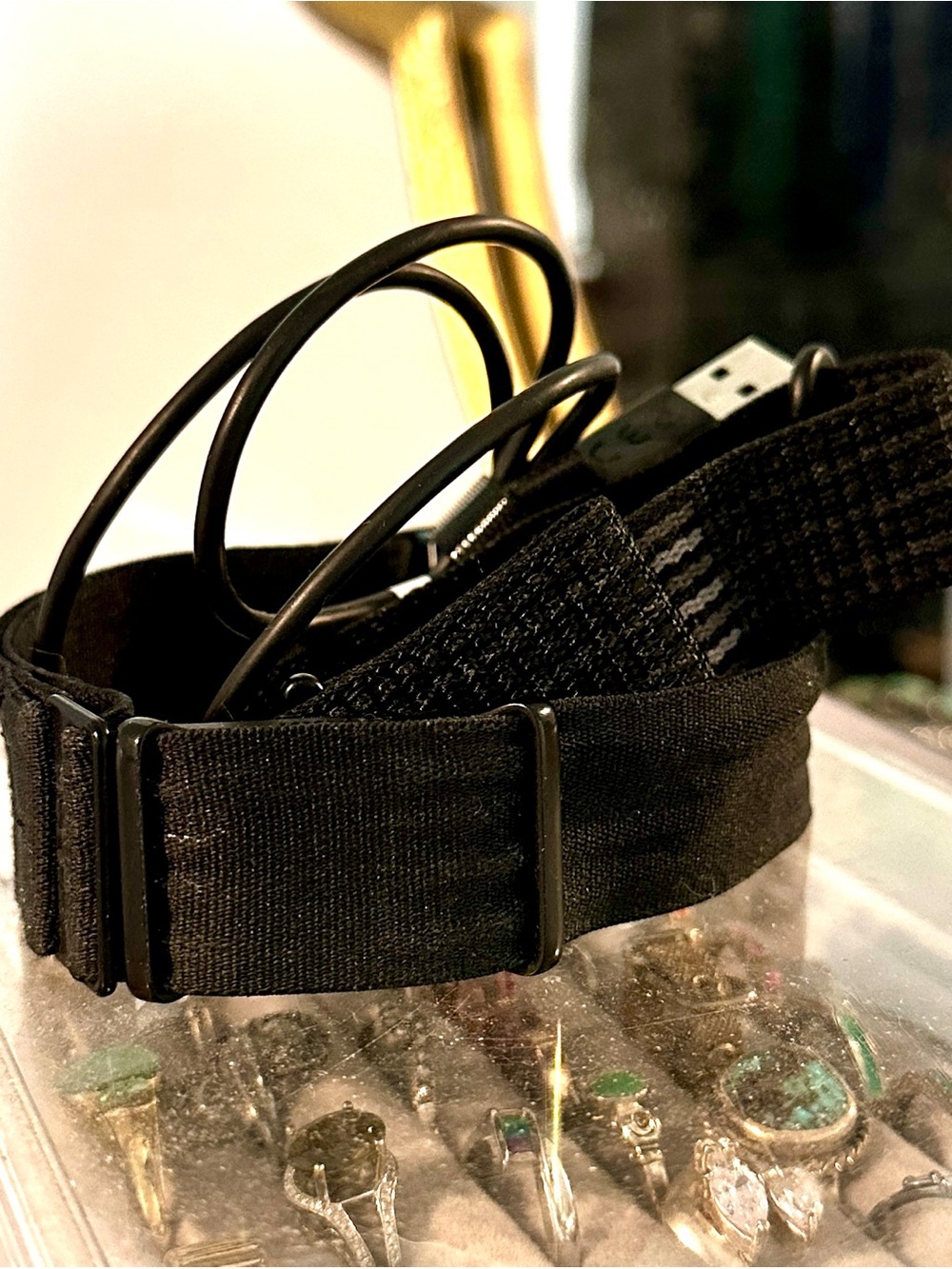 Visible health tracker with arm band, wrist band & charger